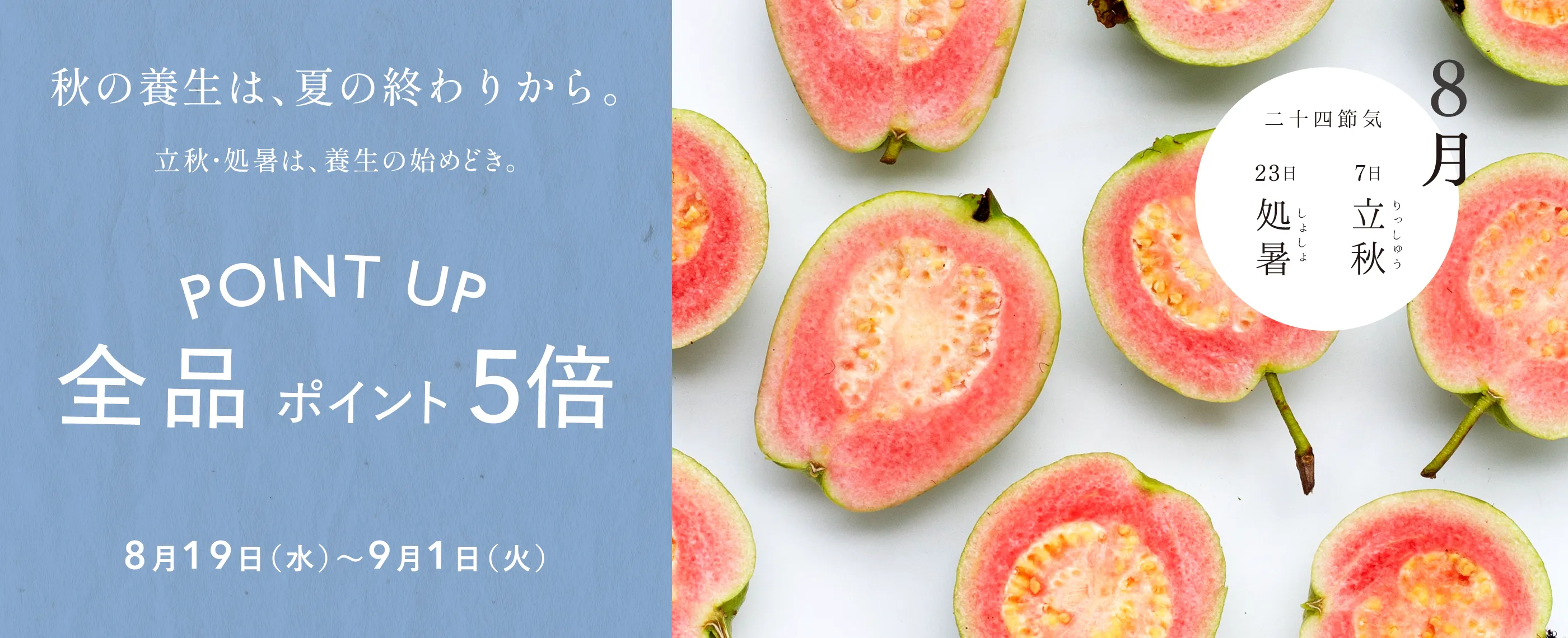 全品ポイント5倍 8月19日（水）〜9月1日（火）秋の養生は、夏の終わりから。立秋・処暑は、養生の始めどき。
